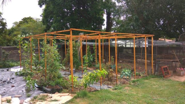 Finished trellis