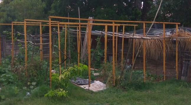 Unfinished trellis frame